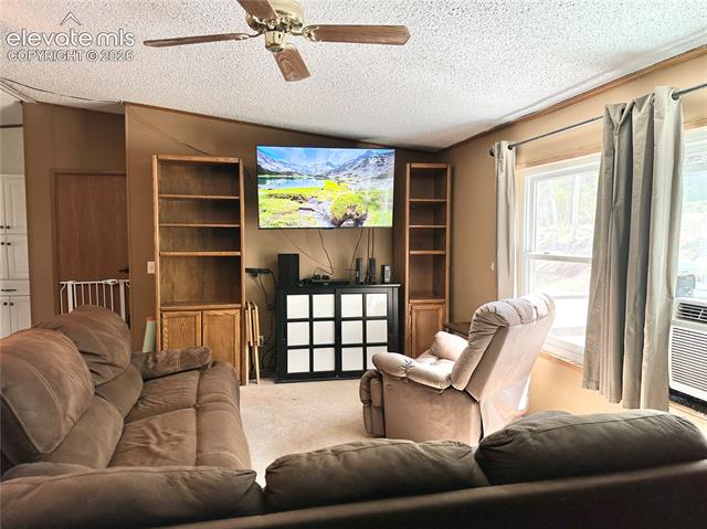 MLS Image for 45  La Abu  ,Florissant, Colorado