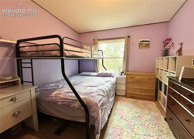 MLS Image for 45  La Abu  ,Florissant, Colorado