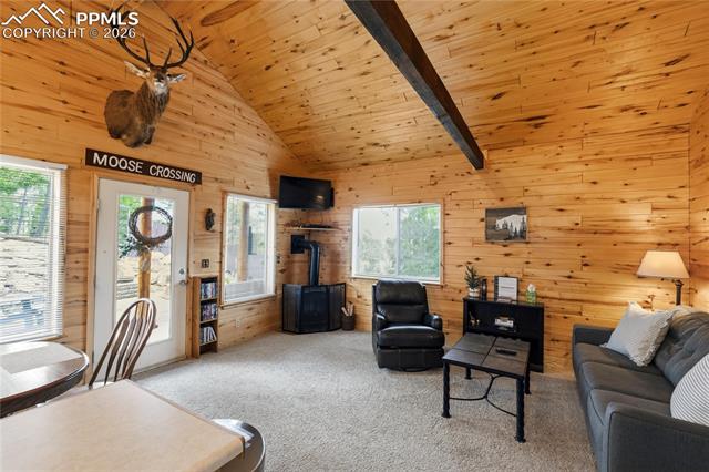 MLS Image for 526  Wakanda  ,Woodland Park, Colorado
