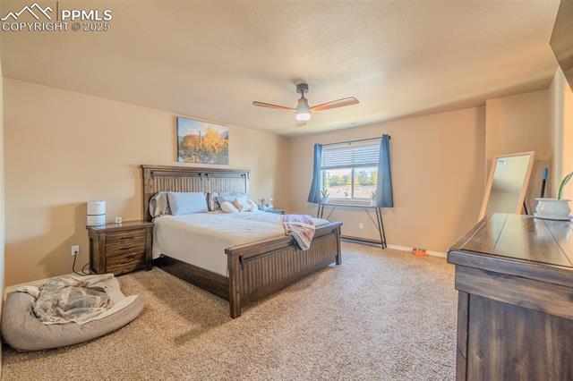 MLS Image for 4027  Silver Star  ,Colorado Springs, Colorado