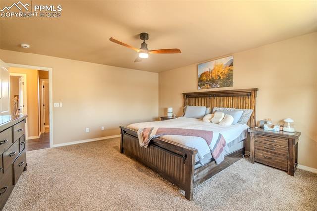 MLS Image for 4027  Silver Star  ,Colorado Springs, Colorado