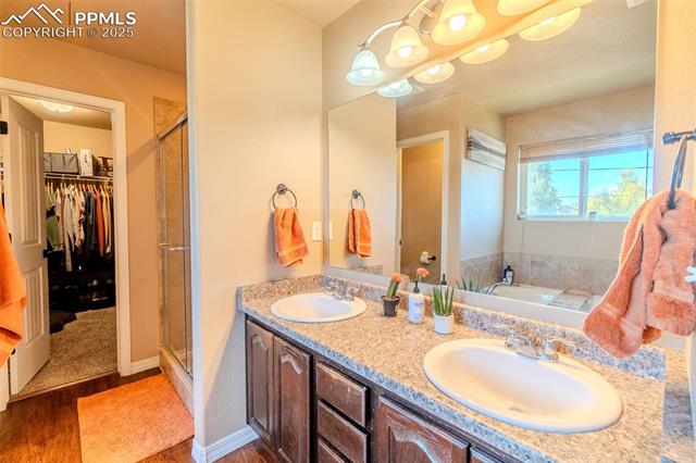 MLS Image for 4027  Silver Star  ,Colorado Springs, Colorado