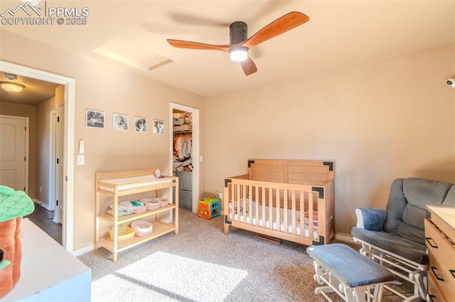 MLS Image for 4027  Silver Star  ,Colorado Springs, Colorado