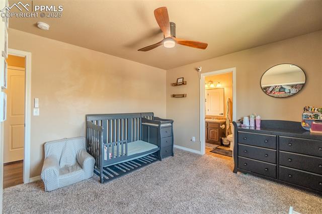 MLS Image for 4027  Silver Star  ,Colorado Springs, Colorado