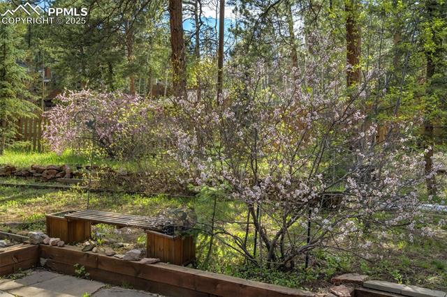 MLS Image for 1015  Lafayette  ,Woodland Park, Colorado