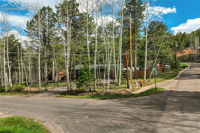 MLS Image for 1015  Lafayette  ,Woodland Park, Colorado
