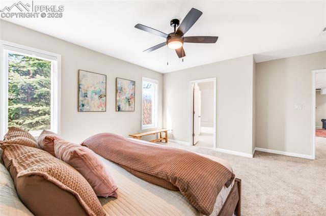 MLS Image for 6265  Spurwood  ,Colorado Springs, Colorado