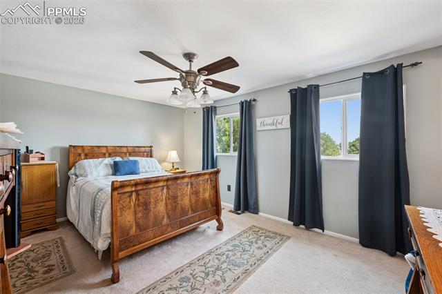 MLS Image for 5560  Constitution  ,Colorado Springs, Colorado
