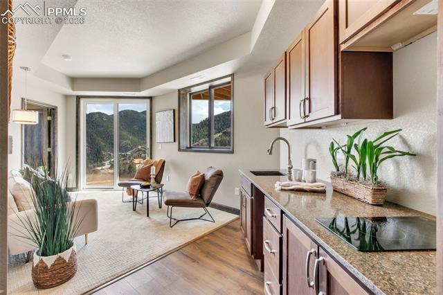 MLS Image for 1060  Neon Moon  ,Manitou Springs, Colorado