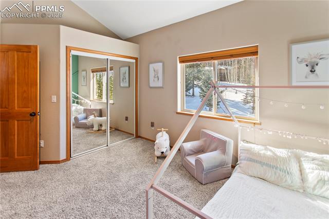 MLS Image for 1121  Windflower  ,Woodland Park, Colorado