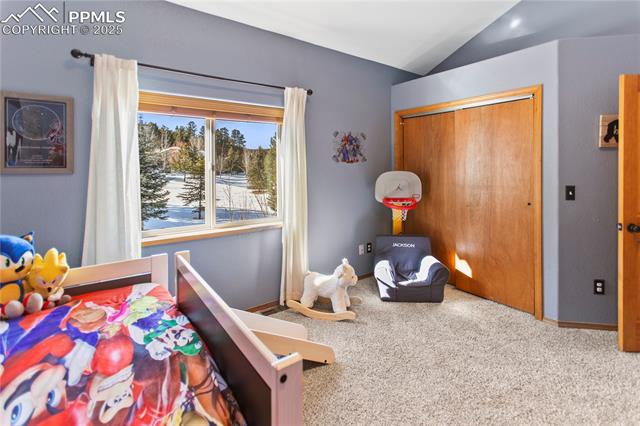 MLS Image for 1121  Windflower  ,Woodland Park, Colorado