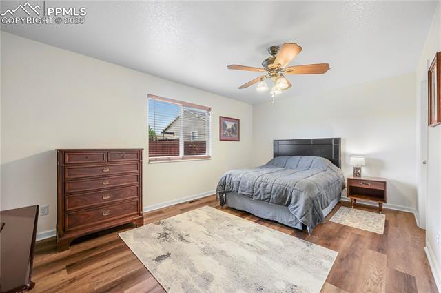 MLS Image for 7421  Coral Ridge  ,Colorado Springs, Colorado