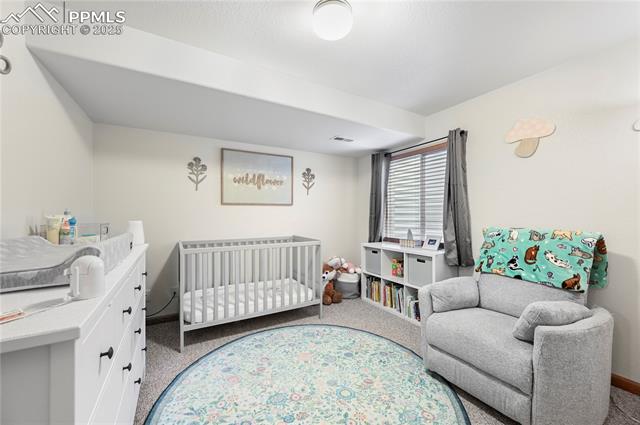 MLS Image for 7421  Coral Ridge  ,Colorado Springs, Colorado