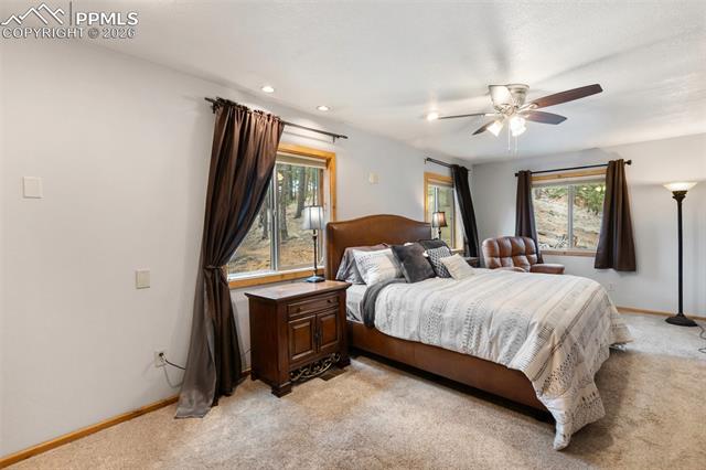 MLS Image for 164  Spring Valley  ,Divide, Colorado