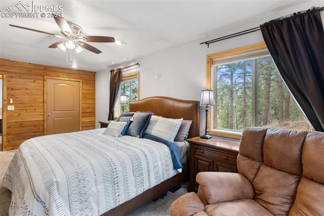 MLS Image for 164  Spring Valley  ,Divide, Colorado