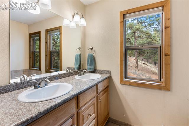 MLS Image for 164  Spring Valley  ,Divide, Colorado
