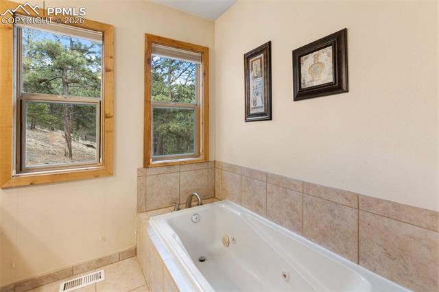 MLS Image for 164  Spring Valley  ,Divide, Colorado