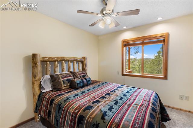 MLS Image for 164  Spring Valley  ,Divide, Colorado