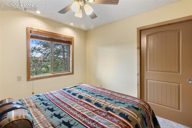 MLS Image for 164  Spring Valley  ,Divide, Colorado
