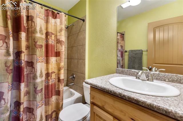 MLS Image for 164  Spring Valley  ,Divide, Colorado