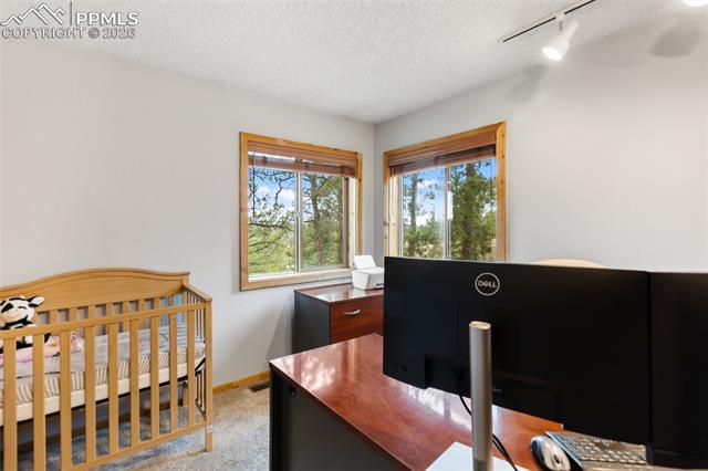 MLS Image for 164  Spring Valley  ,Divide, Colorado