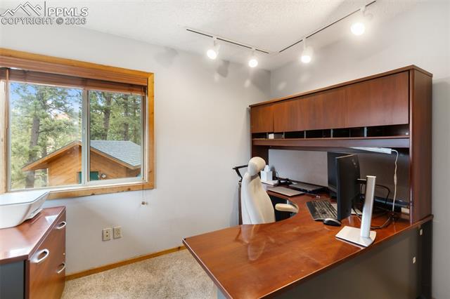 MLS Image for 164  Spring Valley  ,Divide, Colorado