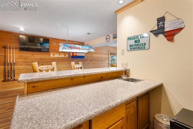 MLS Image for 164  Spring Valley  ,Divide, Colorado