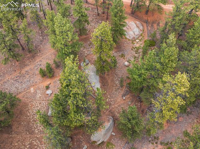 MLS Image for 164  Spring Valley  ,Divide, Colorado