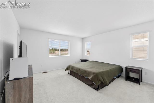 MLS Image for 16462  Mountain Flax  ,Monument, Colorado