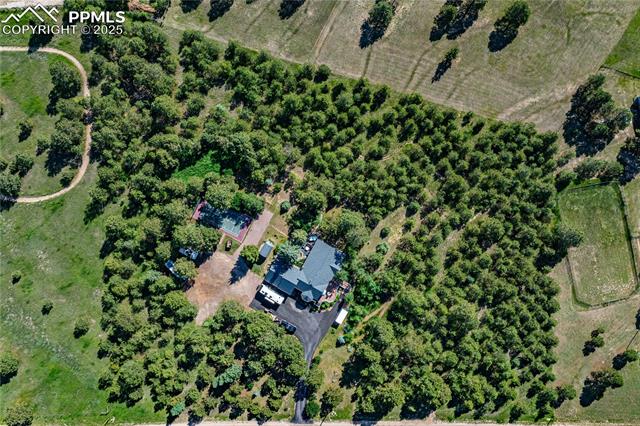 MLS Image for 17815  Saddlewood  ,Monument, Colorado
