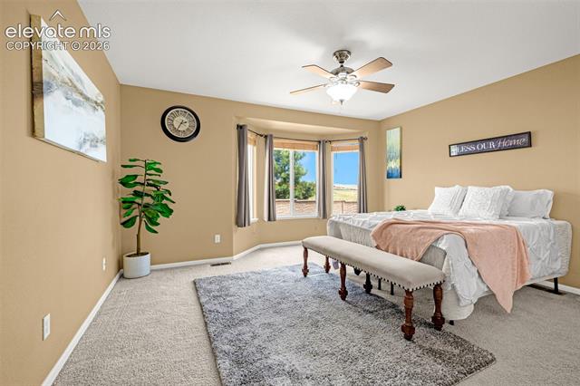 MLS Image for 4911  Turning Leaf  ,Colorado Springs, Colorado