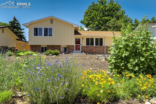 MLS Image for 7330  Sugarloaf  ,Fountain, Colorado