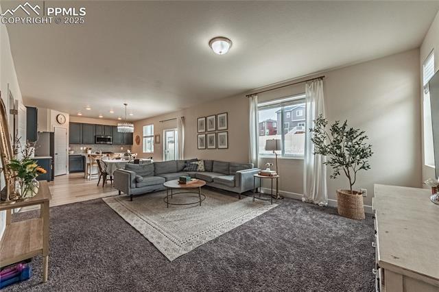 MLS Image for 12670  Granite Ridge  ,Peyton, Colorado