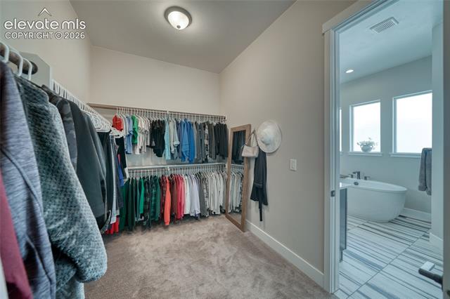MLS Image for 2279  Merlot  ,Colorado Springs, Colorado