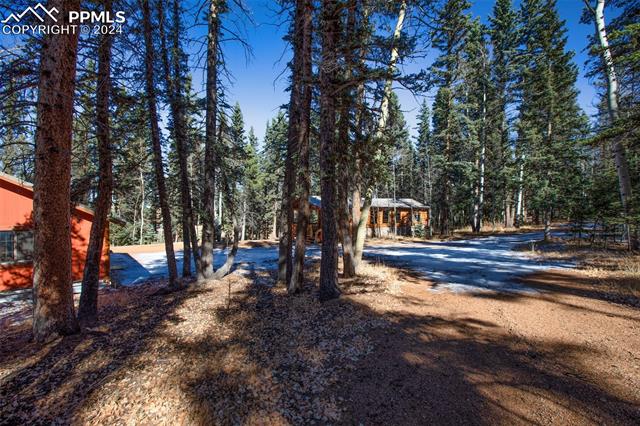 MLS Image for 55  Worley  ,Divide, Colorado