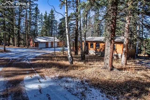 MLS Image for 55  Worley  ,Divide, Colorado