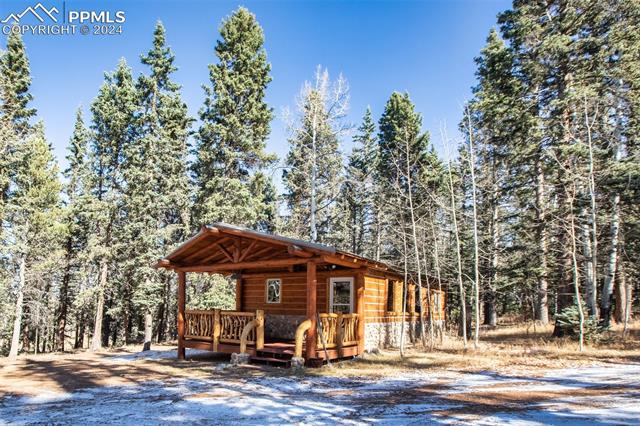 MLS Image for 55  Worley  ,Divide, Colorado