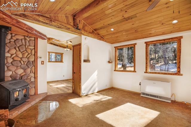 MLS Image for 55  Worley  ,Divide, Colorado