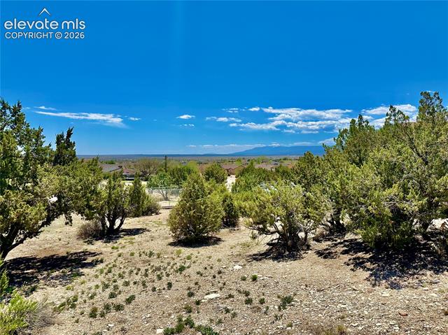 MLS Image for 439 S Arriba  ,Pueblo West, Colorado