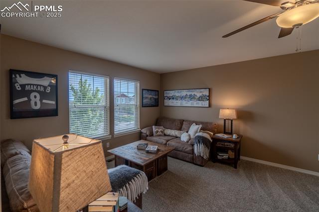 MLS Image for 6206  Finglas  ,Colorado Springs, Colorado