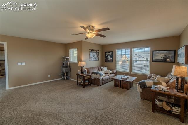 MLS Image for 6206  Finglas  ,Colorado Springs, Colorado