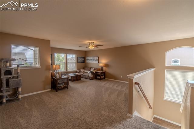 MLS Image for 6206  Finglas  ,Colorado Springs, Colorado