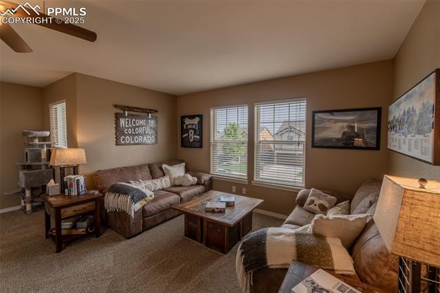 MLS Image for 6206  Finglas  ,Colorado Springs, Colorado
