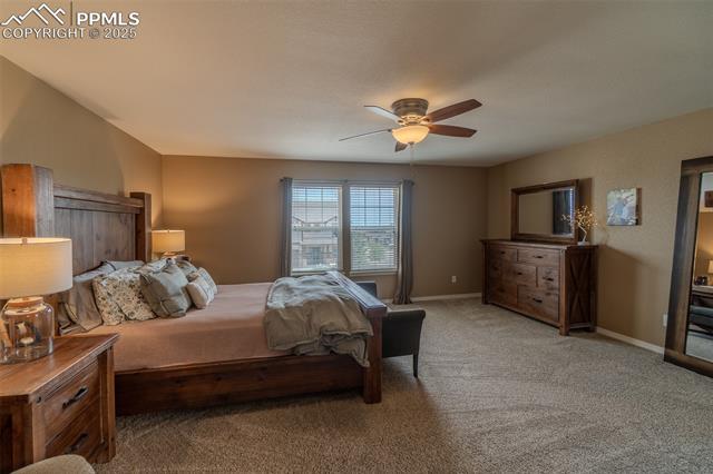 MLS Image for 6206  Finglas  ,Colorado Springs, Colorado