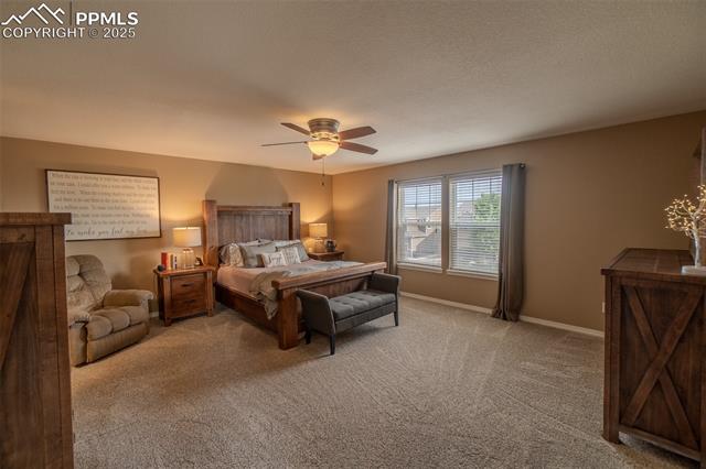 MLS Image for 6206  Finglas  ,Colorado Springs, Colorado