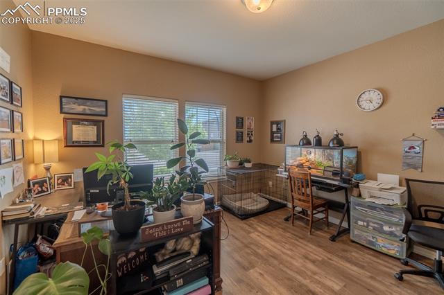 MLS Image for 6206  Finglas  ,Colorado Springs, Colorado