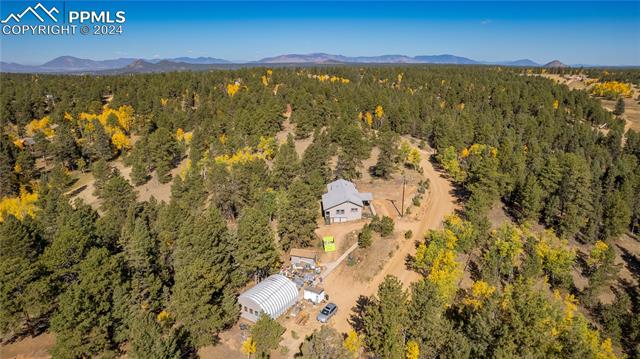 MLS Image for 455  Golden Bell  ,Divide, Colorado