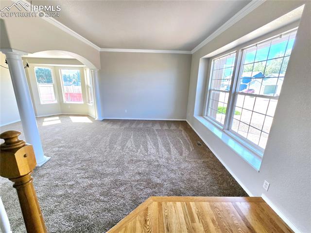 MLS Image for 3295  Viero  ,Colorado Springs, Colorado