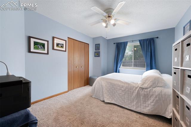 MLS Image for 6985  Blue River  ,Colorado Springs, Colorado