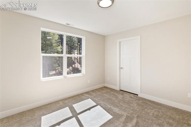 MLS Image for 671  Bradford  ,Woodland Park, Colorado